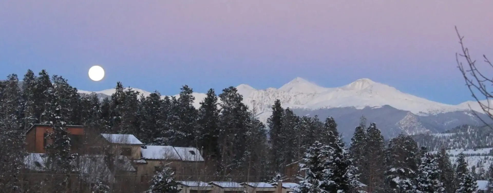 A snowy mountain range with trees in the foreground.