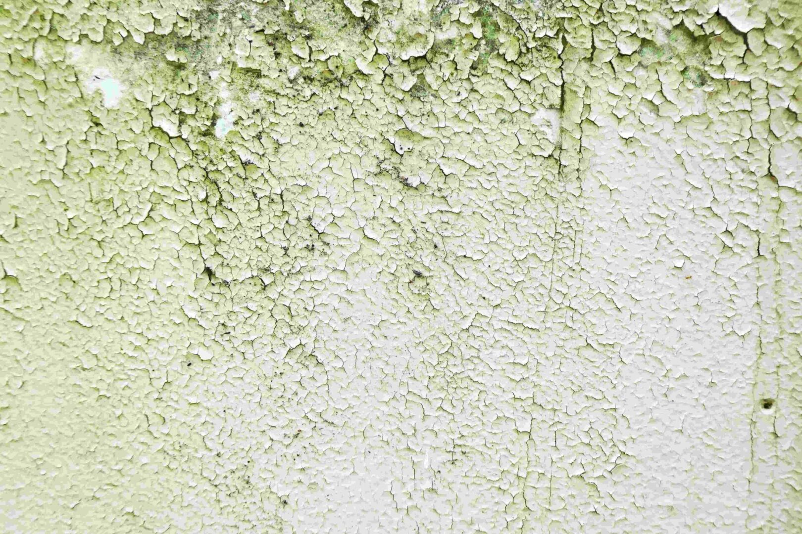 A white wall with some green paint on it