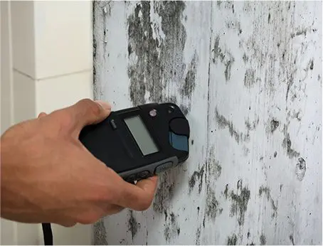 A person holding a cell phone in front of a wall.